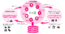 WAmazing事業全体像