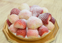 年間10,000個以上販売！観光農園「いちごの里」の名物いちごタルトにプレミアム商品“いちごの里紅白タルト”登場！12月5日(月)よりオンラインショップ限定で販売開始