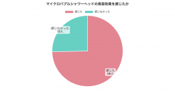 マイクロバブルシャワーヘッドユーザーを対象に「美肌効果の有無」に関する調査を実施　～74％が「美肌効果がある」と回答！～