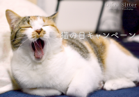 ペットシッターカウンセリングが222円になる「猫の日キャンペーン」を2月28日まで実施