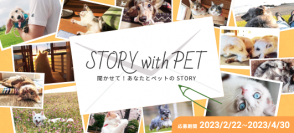 “イヌやネコと過ごす幸せや喜び”を分かち合う！
アニドネが「STORY with Pet」投稿キャンペーンを開始