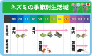 ネズミの季節別生息域 ネズミの季節別生息域