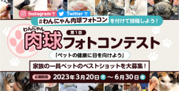 第1回犬・猫肉球フォトコンテストを開催　家族の一員であるペットのベストショットを大募集