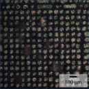 図2　アレイ状に配置した液晶滴。明るい領域が液晶滴を、暗い領域が液体相をそれぞれ示しています。デバイス内の静電エネルギー分布を周期的（～40μm）に変調しました。