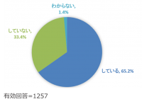 中～大企業におけるExcelによるデータ管理業務の実体を調査　Excelの課題を多くの業務で感じているが、脱Excelに「Excelの利便性の代替サービスがない」という壁が判明