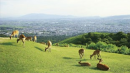 「とっておきの奈良」の写真例