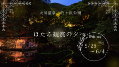 【 第21回 ほたる観賞の夕べ 開催 】伊豆半島・天城山脈のふもと、わさび田に舞い、水面に映る幻想的なほたる火