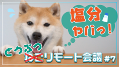 明治安田生命オリジナルYouTube番組【明治安田TUBE】の人気シリーズが第七弾にして進化！？ねこが、犬やうさぎと初共演！ねこリモート会議♯7「塩分とりすぎ！？おうちでチェックにゃ！」篇を配信開始！