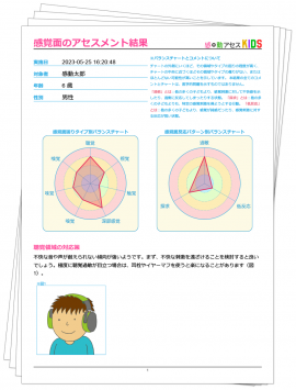 感覚・動作アセスメントKIDS　結果例