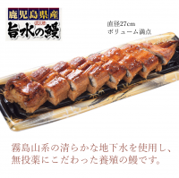 最先端の冷凍技術を使用！生育環境からこだわった原料で巻き上げた冷凍寿司「鹿児島県産うなぎの姿寿司」の販売開始