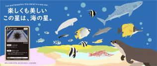 SNSで話題の“ハマる教材”「トレーディングカードゲーム海の仲間たち」がついに発売！