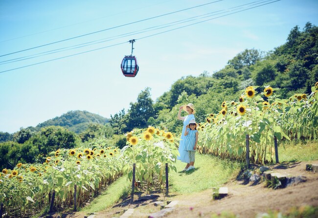 「きっと忘れない夏　GARDEN FEST 2023-Summer-」がスタート。神戸布引ハーブ園が夏のリゾートに大変身。昼は遊んで食べて、夜は「夜景×イルミネーション」と丸一日ゆっくりと過ごせます。