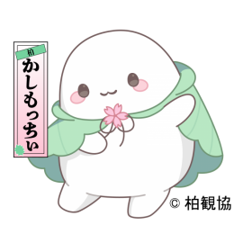 柏市観光協会マスコットキャラクター かしもっちぃ