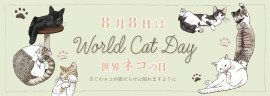 8月8日世界猫の日