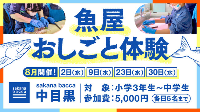 魚屋おしごと体験、sakana baccaの裏側のリアルを学ぼう〈子ども限定 夏休み企画〉