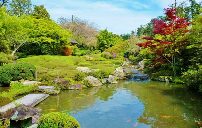 臨済宗大本山 妙心寺 退蔵院、アソビューが提供する電子チケットサービスを導入