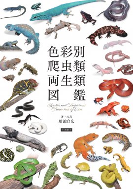 『色彩別 爬虫類・両生類図鑑』書影