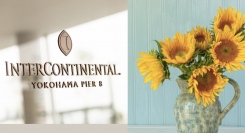 InterContinental Yokohama Pier 8 ヒマワリがお迎えします 8 月 8 日(火)~8 月 20 日(日)