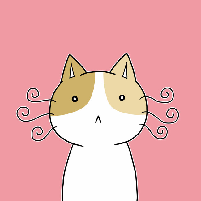 フツーのようで、実は悟りの境地に達している！？心をほぐす新キャラクタープロジェクト『ニルヴァーにゃんこ』スタート！