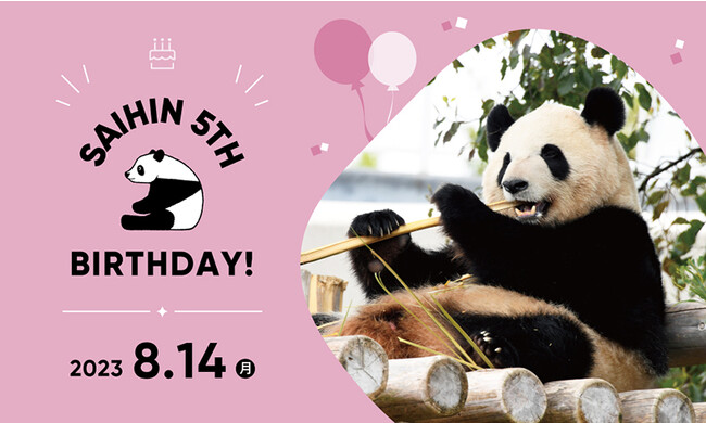 HAPPY PANDA FES ２０２３プレイベント！ジャイアントパンダ「彩浜（さいひん）」５歳の誕生会 ２０２３年８月１４日（月）