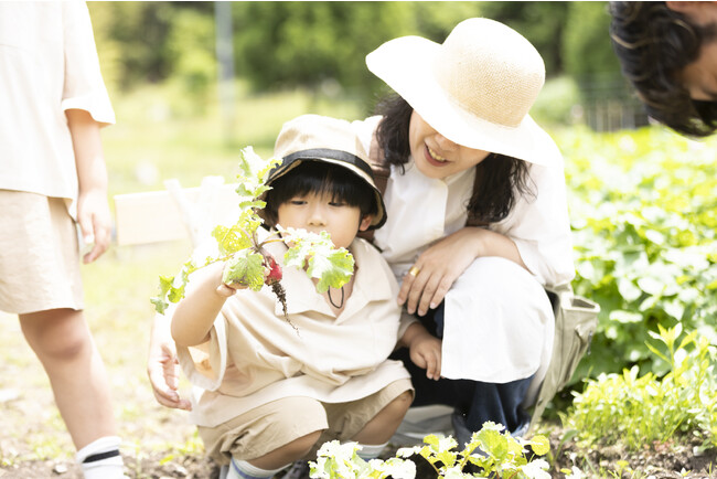 【関西・岡山】人気グランピング施設「ザランタンあば村」みずみずしい野菜の収穫体験・とれたてのお魚で、夏の田舎暮らしを満喫！ | 2023年8月～