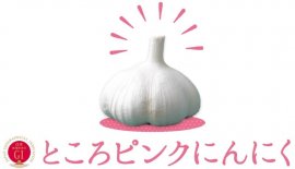 ところピンクにんにく