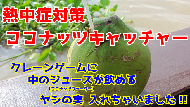 【クレーンゲーム】熱中症対策に！天然のスポーツドリンク「ココナッツウォーター」が飲める本物の『ヤシの実』が景品のクレーンゲームが登場！ エブリデイとってき屋 （埼玉県）