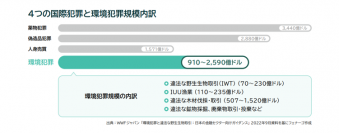 Fenergo(フェナーゴ)、元日銀審議委員　白井 さゆり氏による、金融機関におけるESGコンプライアンスに関する解説記事を公開