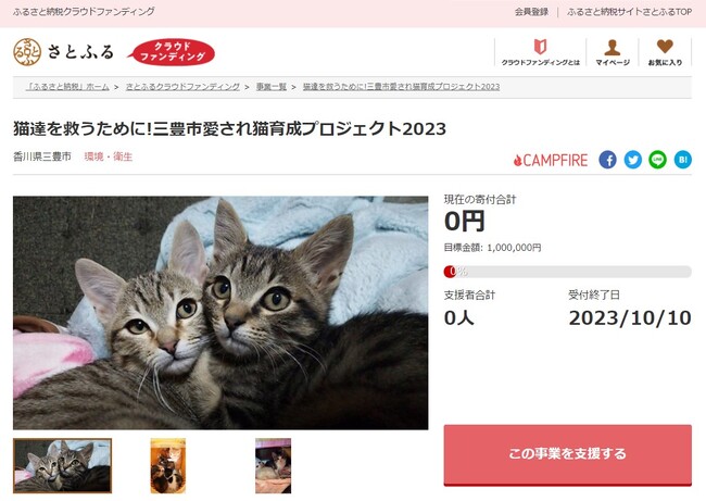 香川県三豊市とさとふる、地域猫活動（※）を通して人と猫が共生できるまちを目指し、寄付受け付けを開始