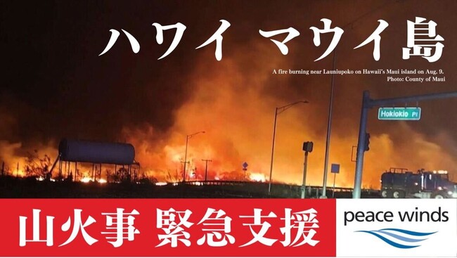ハワイ・マウイ島山火事緊急支援　日本からスタッフを派遣
