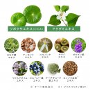 11種の植物成分