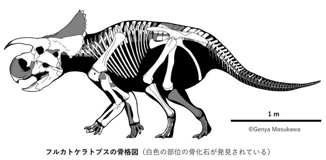 【国立科学博物館】新種の角竜を命名~『恐竜博2023 大阪会場』で実物化石を展示中~