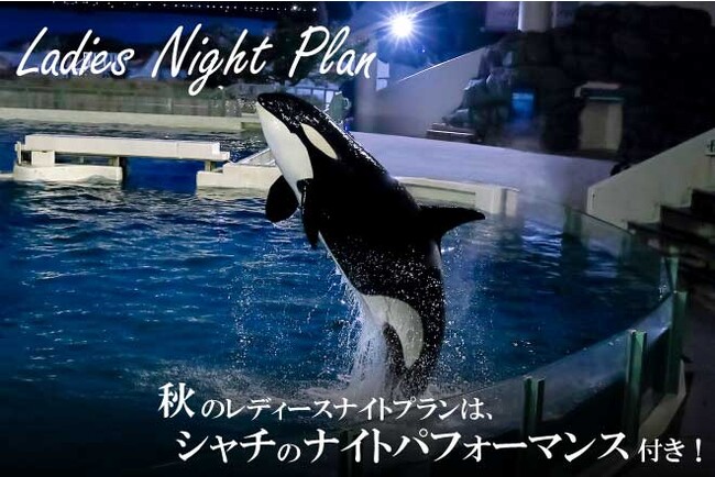 【鴨川シーワールド】シャチのナイトパフォーマンスや女性飼育員とのセミコース会食　夜の水族館を満喫『レディースナイトプラン』開催　2023年8月23日（水）より予約受付を開始