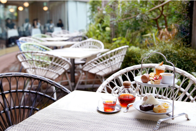 神戸国際会館11階にある「TOOTH TOOTH GARDEN RESTAURANT」で、緑あふれるお庭を眺めながら愉しむ「栗のアフタヌーンティー」が2023年8月24日より登場！