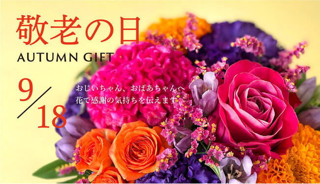 おじいちゃん、おばあちゃんへありがとうの気持ちを込めて花を贈る「感謝」の花言葉を持つピンクのバラを使った色鮮やかな「敬老の日ギフト」の販売をスタート