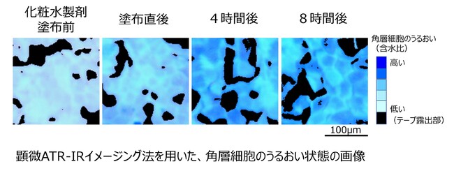 角層細胞のうるおい状態を可視化する新技術を開発