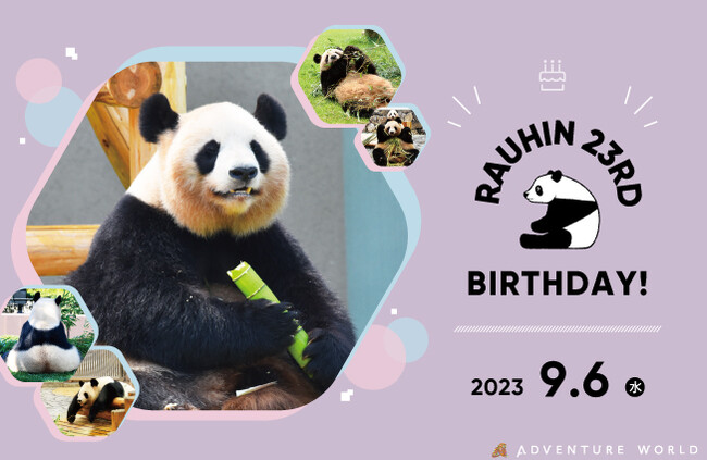 HAPPY PANDA FES ２０２３ お母さんパンダ「良浜（らうひん）２３歳」の誕生会 ２０２３年９月２日（土）～９月６日（水・休園日）