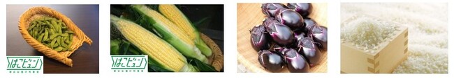 新潟県十日町地域の新鮮な野菜を「はこビュン」で上野駅「のものマルシェ」へお届けします！