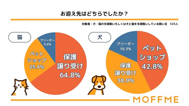 【犬と猫の多頭飼育に関する調査】犬のお迎え先1位はペットショップ、猫のお迎え先1位は保護や譲り受けであることが判明。