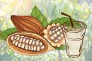 カカオ果汁ドリンク カカオ果汁ドリンク