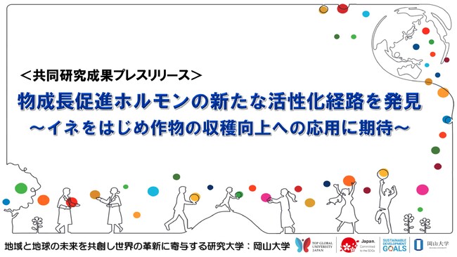 植物成長促進ホルモンの新たな活性化経路を発見 ～イネをはじめ作物の収穫向上への応用に期待～〔名古屋大学、理化学研究所、農研機構、岡山大学〕