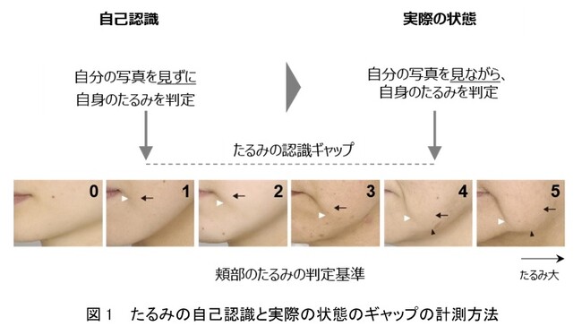 資生堂、たるみの自己認識と実態の間に8.1歳のギャップが存在することを解明　～適切なタイミングでたるみケアを始めることの重要性を明らかに～