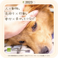 “後方から繋ぐ、犬と猫の未来”
動物福祉向上の活動を拡げるアニマル・ドネーション：
賛助会員プログラム“アニドネ公式サポーター”リニューアルのお知らせ