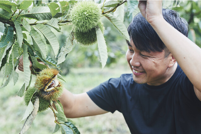 シグネチャーのシャインマスカットが登場。「旅するメゾン」より、採りたて果実を使用した生スイーツが発売。