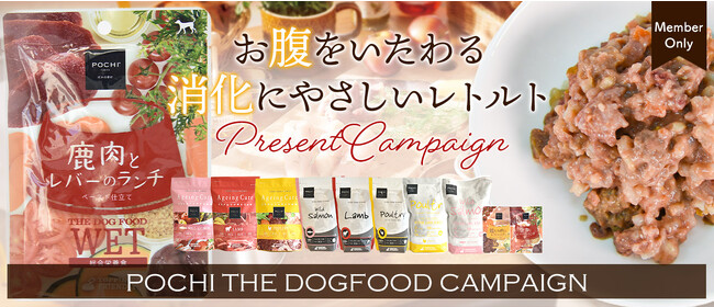 《POCHI》季節の変わり目に、お腹をいたわるレトルトフードをプレゼント
