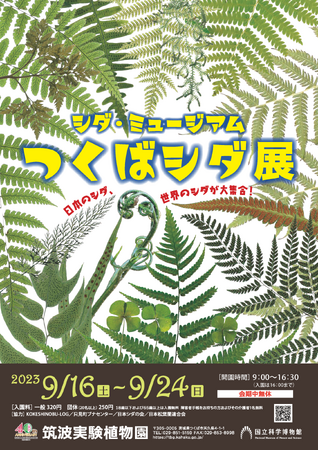 【国立科学博物館　筑波実験植物園】シダを知る！楽しむ！究める！守る！企画展「シダ・ミュージアム　―つくばシダ展―」のご案内