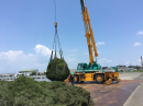 琵琶湖刈取り水草（琵琶湖では毎年2万トン近く発生）