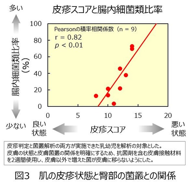 乳幼児の臀部の肌状態に腸内細菌類が関わっている可能性を発見