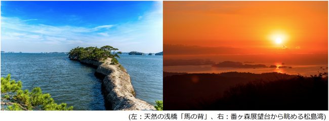 宮城県利府町の一部エリアにて9月13日から電動キックボードシェアリングの実証実験を開始