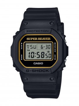 DW-5600SB23 (1) DW-5600SB23 (1)